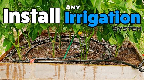 How To Install Irrigation System Garden Easy Simple Youtube