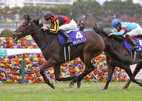 【新谷の日曜競馬コラム・大阪杯】 日刊ゲンダイ競馬