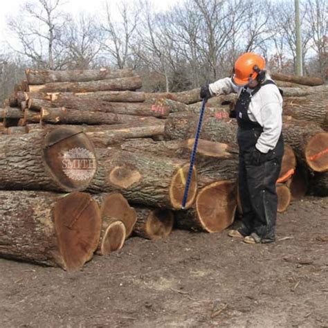 Logrite Log Scales — Smith Sawmill Service