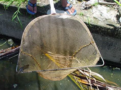 Daunkaripole Alat Menangkap Ikan Tradisional Sr