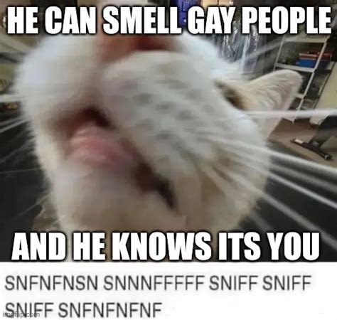 YOURE GAY Imgflip