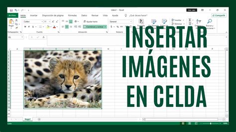 C Mo Insertar Una Imagen Dentro De Una Celda De Excel Youtube