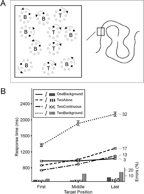 A A Schematic Representation Of The Stimulus In Experiment 1b The