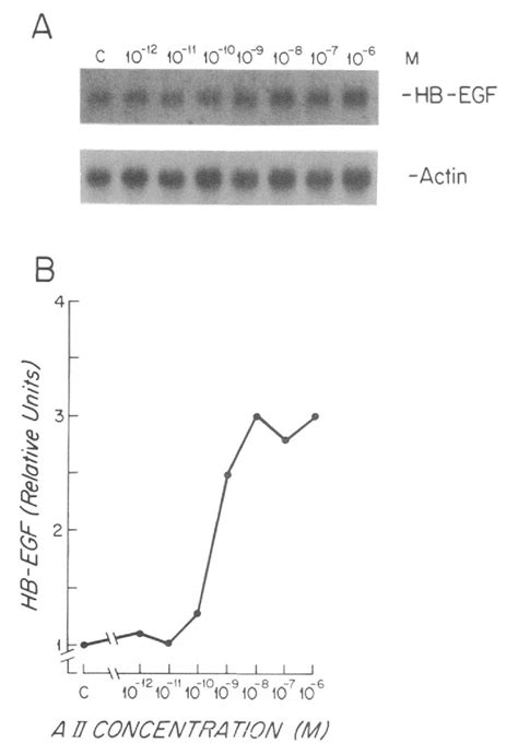 Figure 5 From Induction Of Heparin Binding Epidermal Growth Factor Like