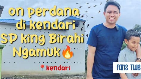 Sp King Birahi Andi Sufar TWB Ngamuk Lagi Di Kendari On Perdana 4x12 3