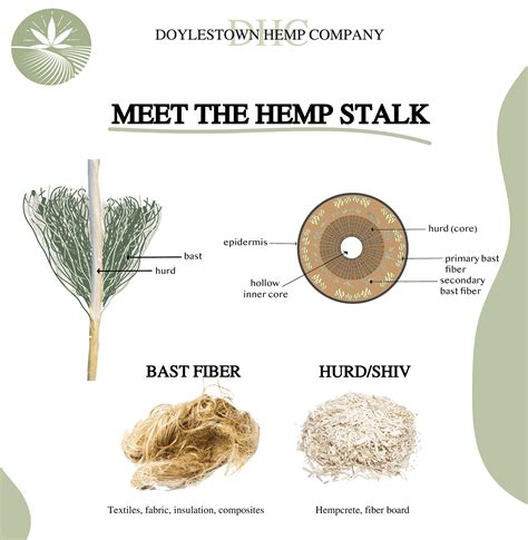 Meet The Hemp Stalk On Behance