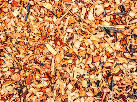 Types Of Mulch By Wrightem