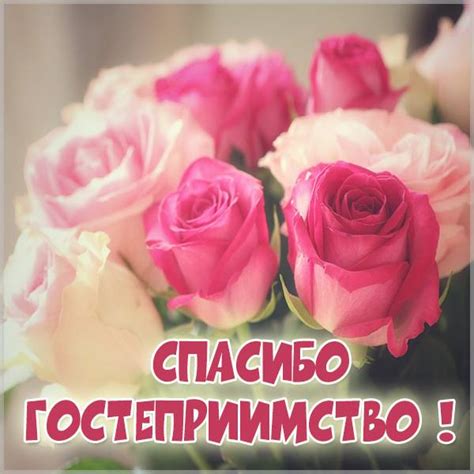 Открытки и картинки Спасибо За Гостеприимство - скачать бесплатно на ...