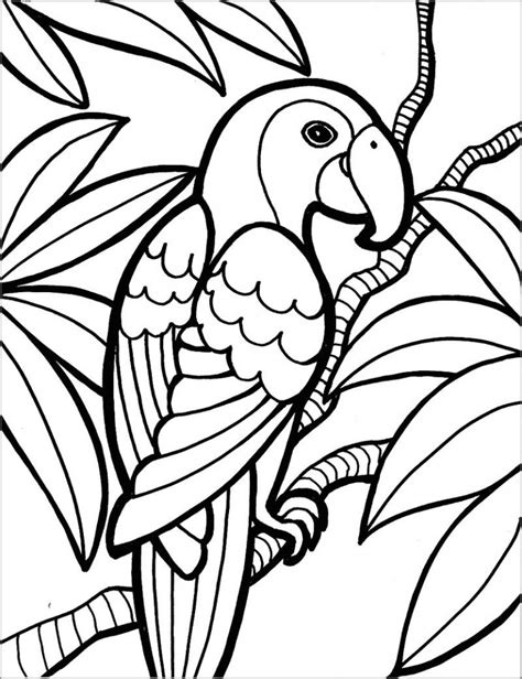 Printable Macaw Coloring Page Coloringbay