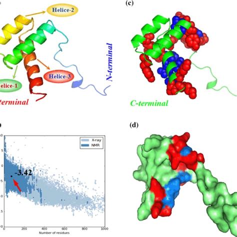 The Prediction And Analysis Of Three Dimensional Structure Of HOXC8