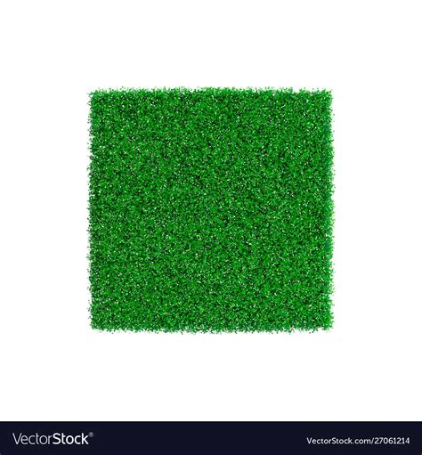 Patch Grass In Form Square Royalty Free Vector Image