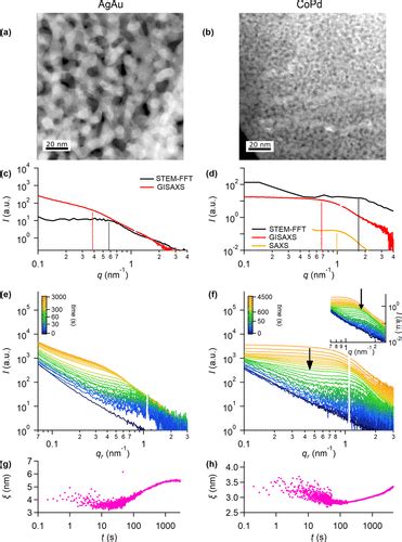 In Situ Study Of Nanoporosity Evolution During Dealloying AgAu And CoPd