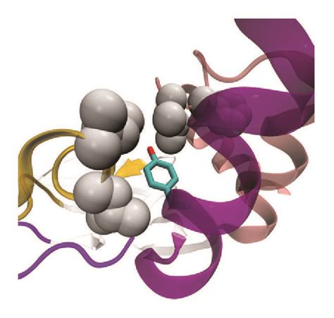 A Domain Conformational Transition Events C D And E Camp Though Download Scientific