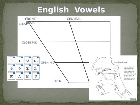 PPTX Vowels Diphthongs And Triphthongs DOKUMEN TIPS