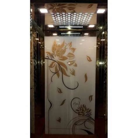 With Machine Room Stainless Steel Automatic Passenger Elevator Max