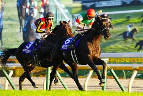 ジャパンcを制したヴェラアズール 松山と再コンビで有馬記念へ― スポニチ Sponichi Annex ギャンブル