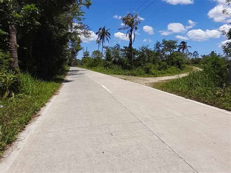 1 000 Sqm Flat Terrain Residential Farm For Sale In Sagbayan Bohol