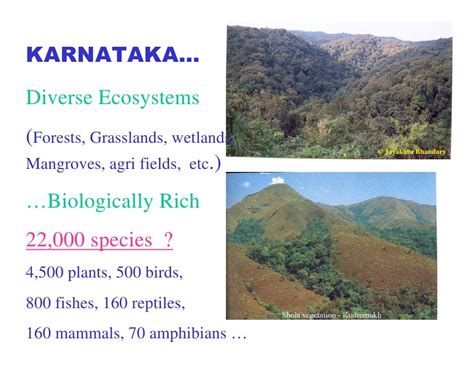 Biodiversity Of Coastal Karnataka