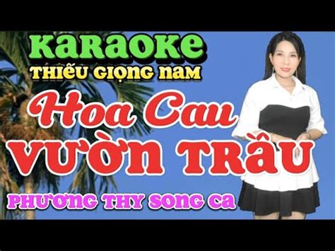 Hoa Cau V N Tr U Karaoke Thi U Gi Ng Nam Song Ca C Ng Ph Ng Thy