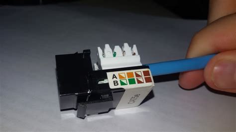 Conexion de ficha RJ45 Hembra