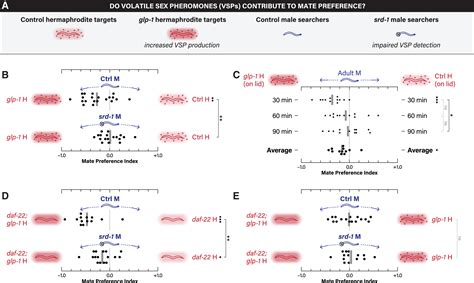 C Elegans Males Optimize Mate Preference Decisions Via Sex Specific