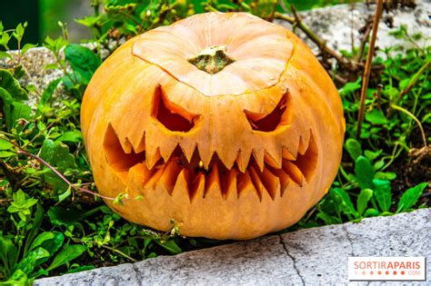 Halloween 2022 Notre Tuto Pour Bien Creuser Et Sculpter Sa Citrouille