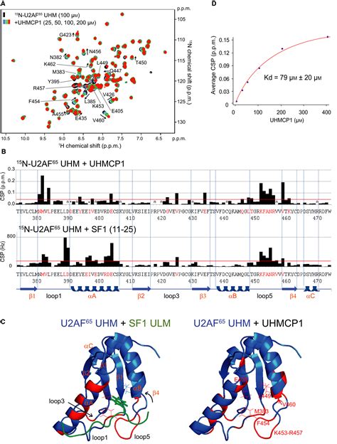 Identification Of A Small Molecule Splicing Inhibitor Targeting Uhm