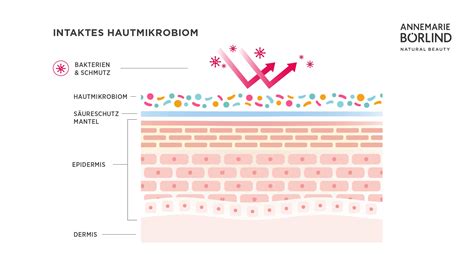 Was ist das Mikrobiom der Haut ANNEMARIE BÖRLIND