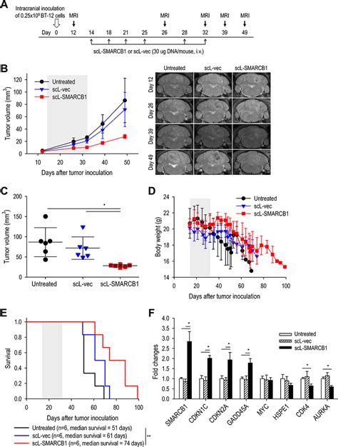 SMARCB1 Gene Therapy With Novel Tumor Targeted Nanomedicine IJN