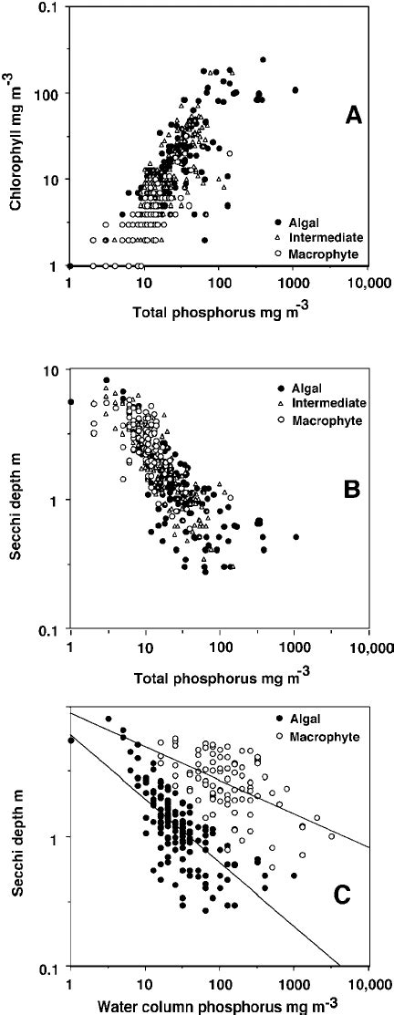 A Relationship Between Algal Chlorophylls And Total Phosphorus With