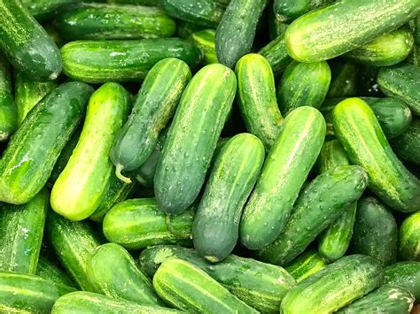 12 Types of Tasty Cucumbers - » BiharHelp.Com