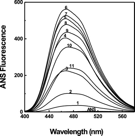 Ans Fluorescence Emission Spectra Of Ck After Incubation With Different