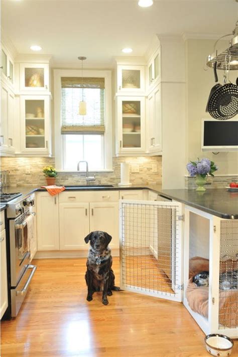 A Black Dog Sitting In Front Of A Kitchen With An Oven And Refrigerator