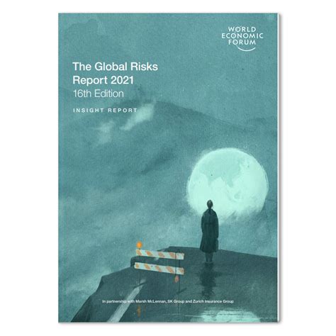 The Global Risks Report Th Edition Instituto Igarap