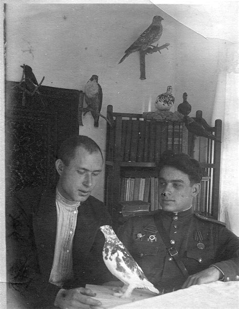 Любители птиц: foto_history — LiveJournal
