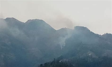 Lima Jalur Pendakian Gunung Merbabu Ditutup Akibat Kebakaran Hutan