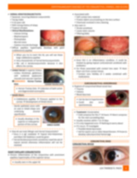 SOLUTION: Ophtha 2 5 diseases of the conjunctiva cornea sclera - Studypool