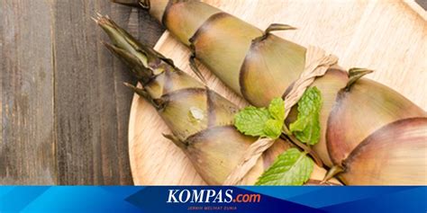 Cara Membuat Pupuk Organik Cair Dari Rebung Bambu