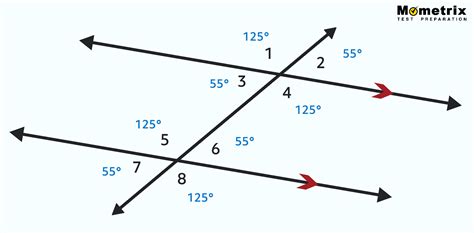 All Types Of Angles In A Transversal