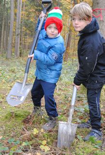 Baumpflanz Aktionen Laurentius Grundschule Bobingen