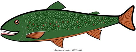 Brook Trout Cartoon Stock Vector Royalty Free 123353368 Shutterstock