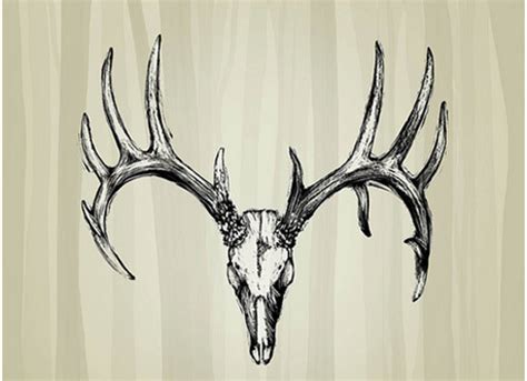 Deer Skull Tattoo Designs For Girls