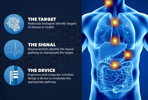 Bioelectronic Medicine Youth Medical Journal