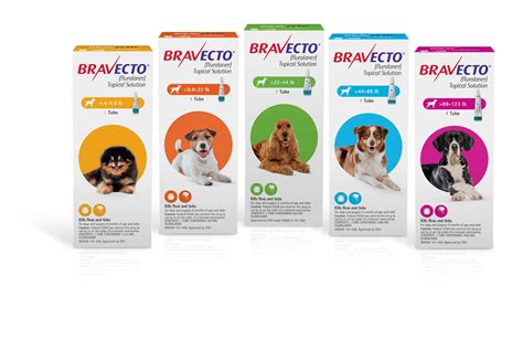 Bravecto® Fluralaner Topical Solution For Dogs Merck Animal Health Usa