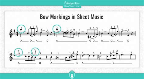 Down Bow Vs Up Bow Whats The Difference Does It Matter