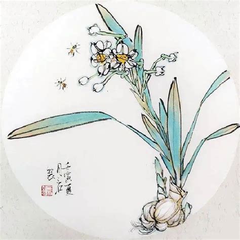 国画技法之水仙花的画法 赭石 鳞茎 花序