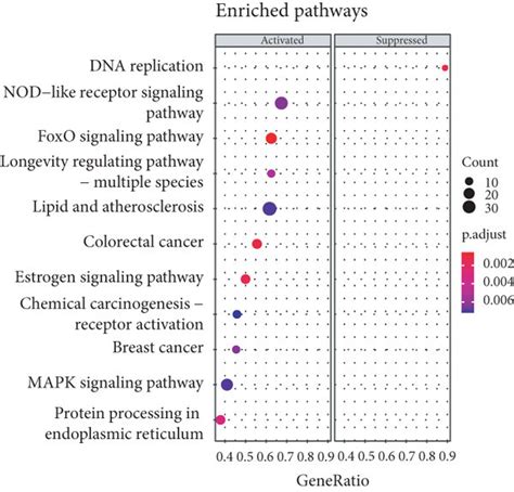 Functional Analysis Of Natural Killer Nk Cell Subpopulations Nk Egr