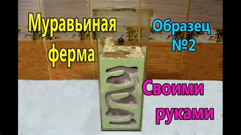 Муравьиная ферма (Формикарий) своими руками . ANT FARM - YouTube