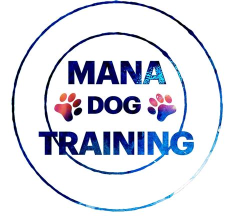 Dog Training With Spirit