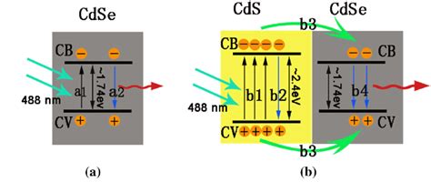 Band Gap Alignment And The Photo Excitation Emission Processes Of Cdse